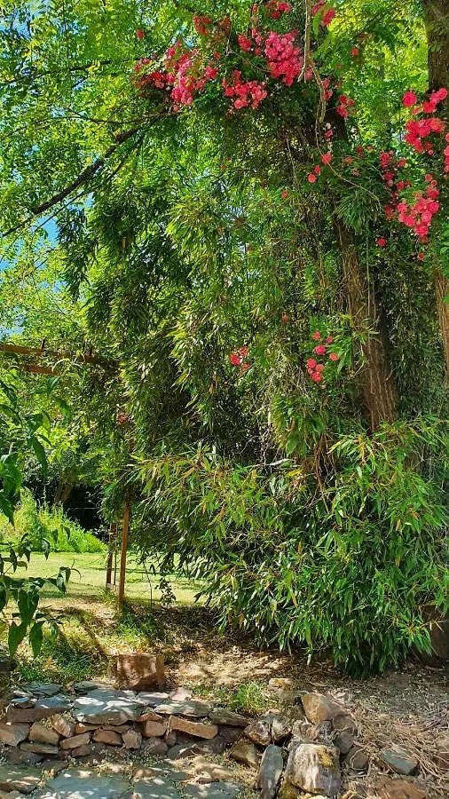Holiday home Les Floralis Villa La Gree-Saint-Laurent
